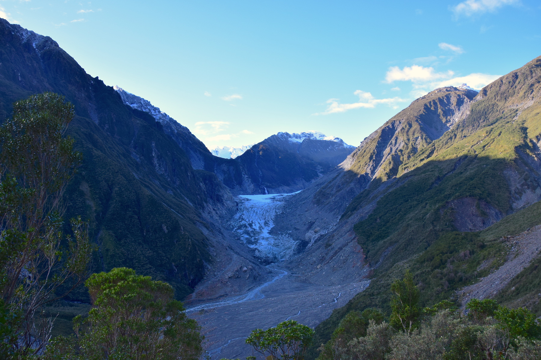 Fox Glacier